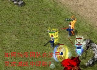 ���ָ���Ŷ���ɳ�Ϳ˹���ս��ȡʤ��