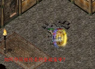 ��ζ�ر����ߵ�ʥս���ף�