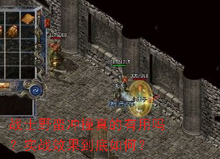 սʿҰ����ײ���������ʵսЧ��������Σ�