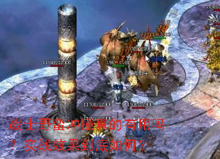 սʿҰ����ײ���������ʵսЧ��������Σ�