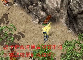 սʿҰ����ײ���������ʵսЧ��������Σ�