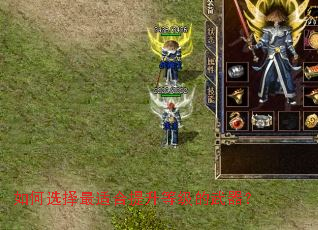 ���ѡ�����ʺ������ȼ���������