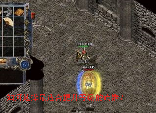 ���ѡ�����ʺ������ȼ���������