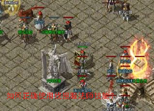 如何正确使用找搜服法师技能? 如何正确使用找搜服法师技能?