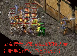 ���Ĵ����̬��˽�����Դ�ȫ��������ο�������ս����