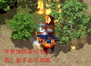 �����ͼ������ô�������ֱ�ѧ����