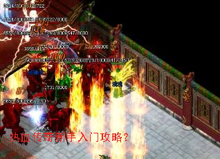 ��Ѫ�����������Ź��ԣ�