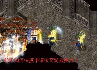 ������ο������봫����Ϸ�˺ţ�