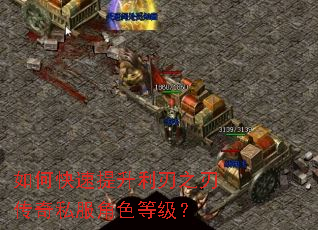 如何快速提升利刃之刃传奇私服角色等级? 如何快速提升利刃之刃传奇私服角色等级?