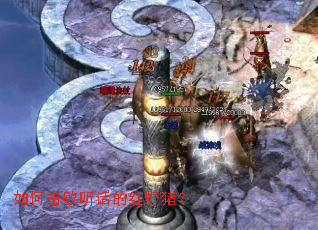 如何击败听话的红野猪? 如何击败听话的红野猪?