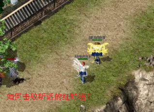 如何击败听话的红野猪? 如何击败听话的红野猪?