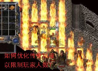 ����Ż�����˽�����������������