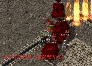 ��ο�������Ԫ�����׵ȼ���