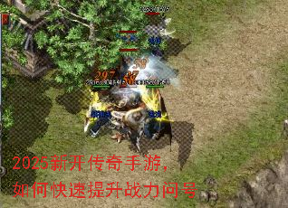 2025�¿��������Σ���ο�������ս���ʺ�