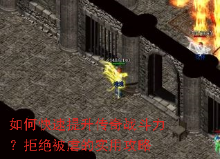 ��ο�����������ս�������ܾ���Ű��ʵ�ù���