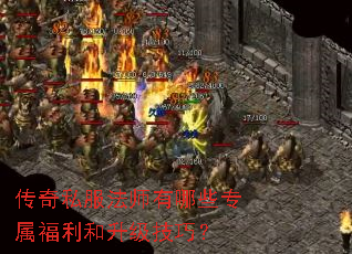 传奇私服法师有哪些专属福利和升级技巧? 传奇私服法师有哪些专属福利和升级技巧?