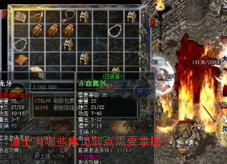 ��ʿ����Щ����������Ҫ���գ�