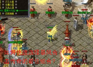 ��ο���ѡ�񱩷�ϻ�����������ϣ�