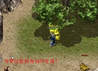 ���漼�ܲо����ʹ�ã�