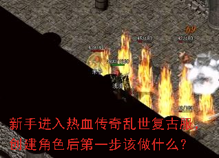 ���ֽ�����Ѫ�����������ŷ���������ɫ���һ������ʲô��