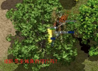 ��ӻ�ʥ����Ŀ�����