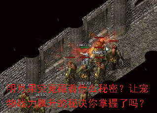 ���¹���������ʲô���ܣ��ó���ս��������ؾ�����������