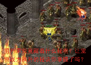 ���¹���������ʲô���ܣ��ó���ս��������ؾ�����������