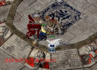 ��ʦ��ο�������BOSS��