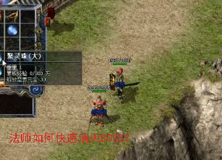 ��ʦ��ο�������BOSS��