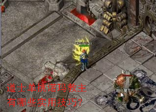 ��ʿ����ŵ���������Щʵ�ü��ɣ�