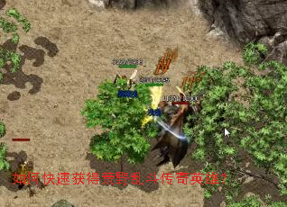 ��ο��ٻ�û�Ұ�Ҷ�����Ӣ�ۣ�