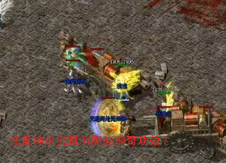 �޸���ˮ��������Щ���湦Ч��