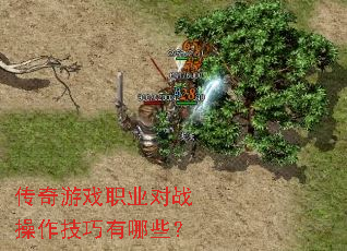 ������Ϸְҵ��ս������������Щ��