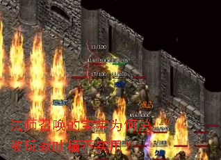 ��ʦ�ٻ��ı���Ϊ���ܱ�����²۲�ʵ�ã�