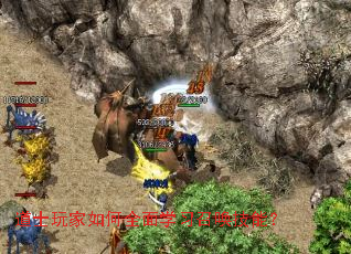 ��ʿ������ȫ��ѧϰ�ٻ����ܣ�