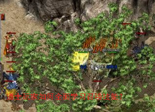 ��ʿ������ȫ��ѧϰ�ٻ����ܣ�