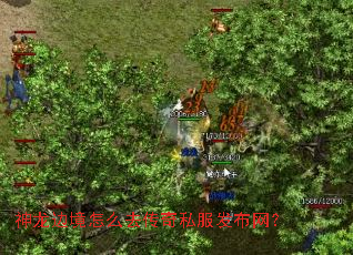 �����߾���ôȥ����˽����������