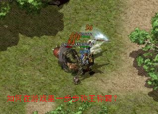 �������Ϸ��һ���������ưԣ�