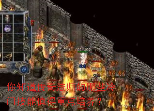 ��֪�����淨ʦ����Щ���ż���ֵ���ص�������