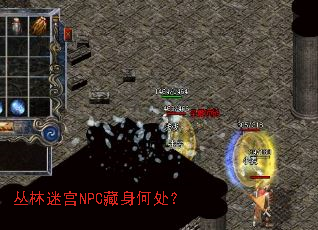 �����Թ�NPC�����δ���