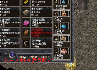 �����Թ�NPC�����δ���