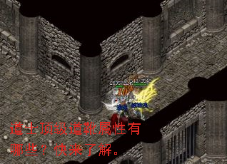 ��ʿ������ѥ��������Щ�������˽⡣