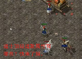 ��ʿ������ѥ��������Щ�������˽⡣