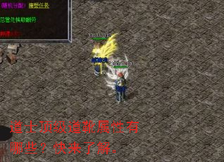 ��ʿ������ѥ��������Щ�������˽⡣