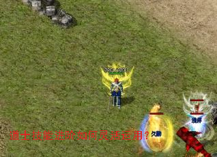 ��ʿ���ܽ������������ã�