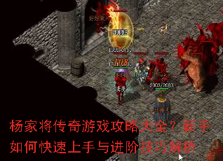 ��ҽ�������Ϸ���Դ�ȫ��������ο�����������׼��ɽ���