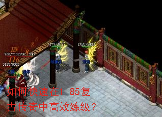 ��ο�����1.85���Ŵ����и�Ч������