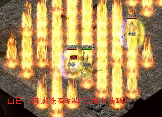 白日门打蜘蛛有哪些实用小技巧? 白日门打蜘蛛有哪些实用小技巧?