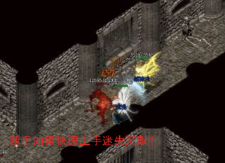 新手如何快速上手迷失沉默? 新手如何快速上手迷失沉默?