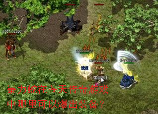 �������ڲ��촫����Ϸ��������Ա���װ����